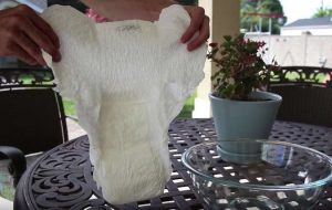 Viherkasvit ja vaippa