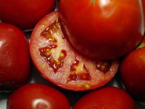 Tomaatit