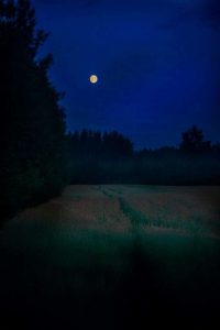 Thumbnail for 187437