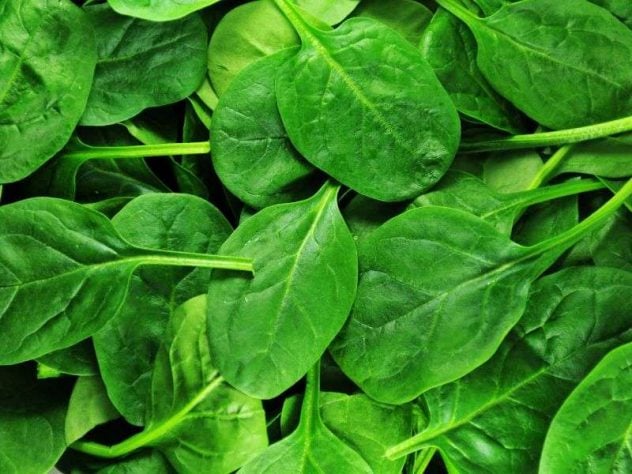Pinaatti