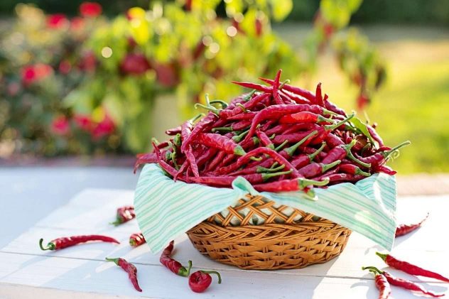 chili