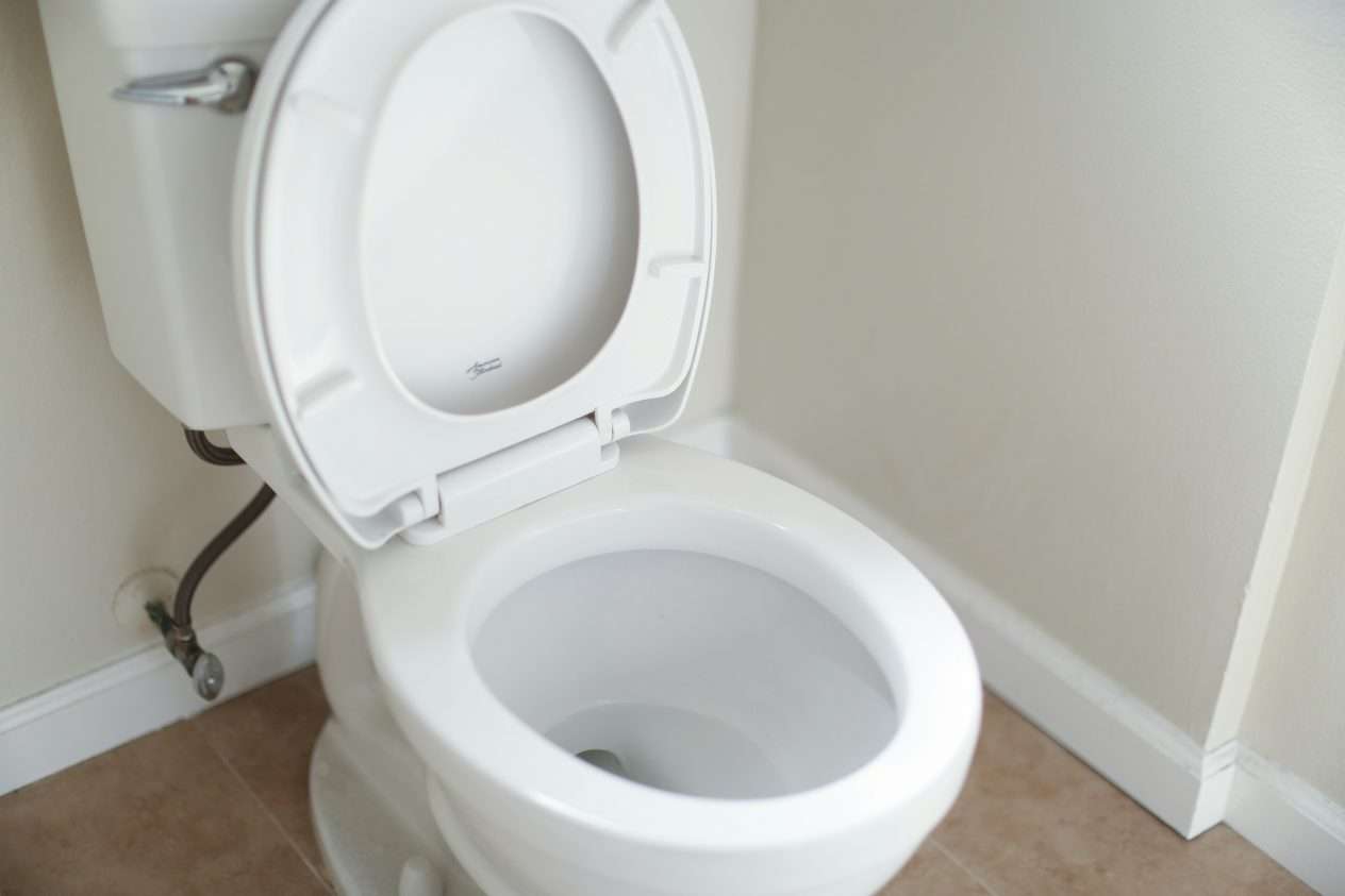 toilet vessa