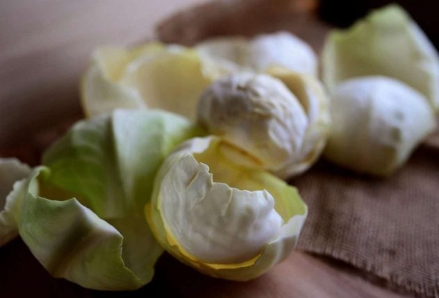 white cabbage