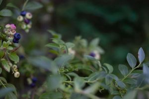 Thumbnail for 189809