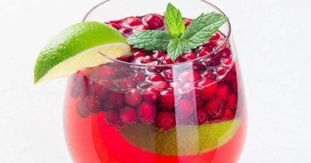 puolukka-drinkki.jpg