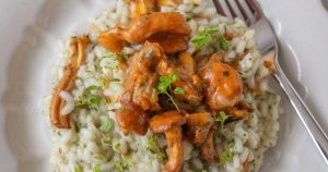 kantarellirisotto