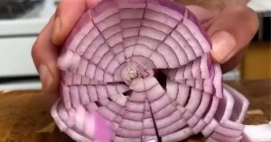 sipulin-leikkaaminen