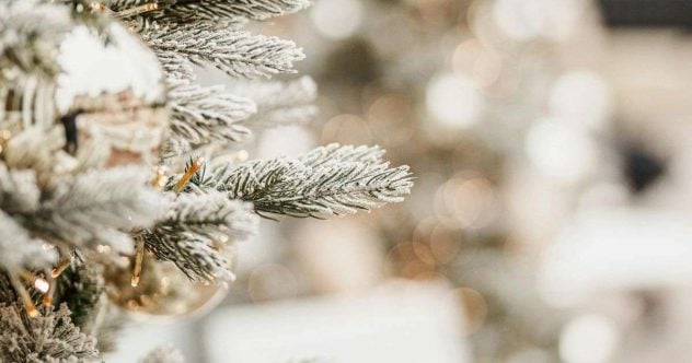 joulukuusen-sulatus
