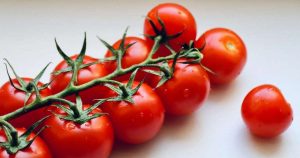 kirsikkatomaatti