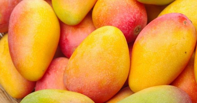 mango