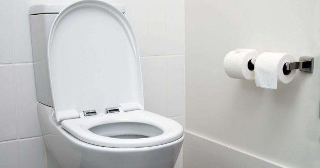 wc-pöntön-puhdistus