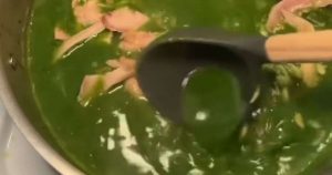 swamp-soup