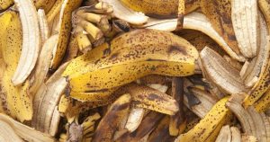 banaanin-kuoret