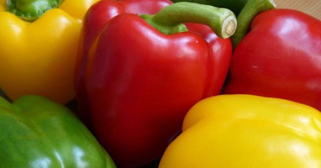 paprika