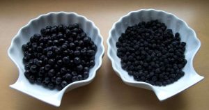 aronia
