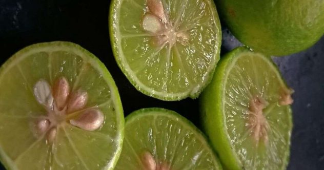 lime