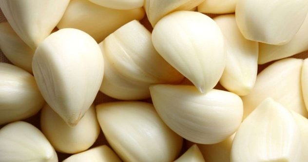 valkosipuli