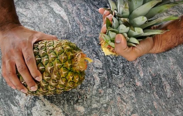 Ananas