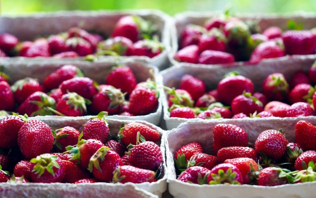 strawberries-6379817_1920